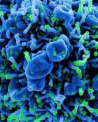 Ανησυχία για τον επικίνδυνο μύκητα Candida auris: Τα συμπτώματα και ποιους απειλεί – Καμπανάκι από CDC