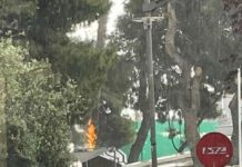 Μαρούσι: Έπεσε κεραυνός και πήρε φωτιά δέντρο πάνω από γνωστή καφετέρια