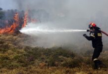 Μεγάλη φωτιά στα Μέγαρα – Σηκώθηκαν και δύο αεροσκάφη