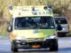 Σοκ στη Θεσσαλονίκη: Οχιά δάγκωσε γυναίκα σε σχολείο – Διασωληνώθηκε η 39χρονη