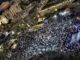 Εκλογές 2023: «Σεισμός» στον Πειραιά από την ανοιχτή προεκλογική ομιλία του Κώστα Κατσαφάδου! (φωτο)