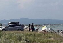 Θρίλερ στην Χαλκιδική: Παιδάκι έπαιζε στην άμμο και ξέθαψε ανθρώπινα οστά (ΣΚΛΗΡΕΣ ΕΙΚΟΝΕΣ)