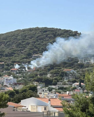 Φωτιά κοντά σε σπίτια στην Αρτέμιδα