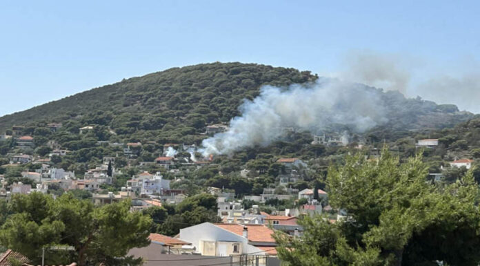 Φωτιά κοντά σε σπίτια στην Αρτέμιδα