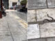 Οχιά κόβει βόλτες στο Κολωνάκι – Δείτε βίντεο