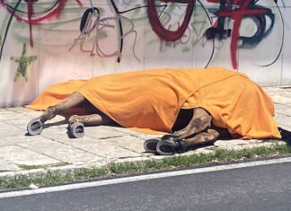 Κέρκυρα: Άλογο τουριστικής άμαξας ξεψύχησε στη μέση του δρόμου (σκληρές εικόνες)