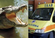 Μετά τους καρχαρίες ήρθαν οι κροκόδειλοι: Συναγερμός σε ελληνικό νησί για επίθεση ερπετού σε ανδρόγυνο