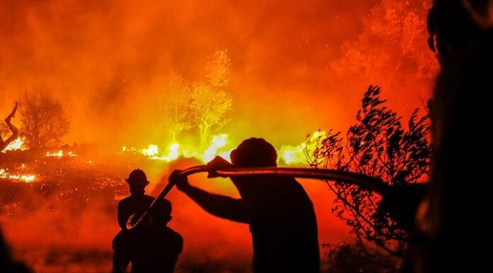 ΕΚΤΑΚΤΟ: Κλειστές έξοδοι της Αττικής οδού λόγω φωτιάς
