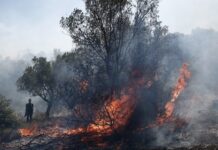 Φωτιά στη Ρόδο: Εγκλωβισμένοι σε ανοιχτό γήπεδο κάτοικοι και πυροσβέστες στο χωριό Ασκληπιείο