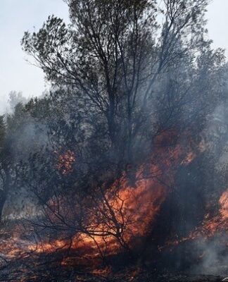 Φωτιά στη Ρόδο: Εγκλωβισμένοι σε ανοιχτό γήπεδο κάτοικοι και πυροσβέστες στο χωριό Ασκληπιείο