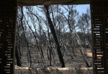 Φωτιά στο Μάτι: Συμπληρώνονται σήμερα 5 χρόνια από τη φονική πυρκαγιά που στοίχισε τη ζωή σε 104 ανθρώπους