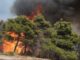 Νέα μεγάλη αναζωπύρωση στην Κάρυστο, πλησιάζουν οικισμούς οι φλόγες – Εκκενώνεται το χωριό Πλατανιστός