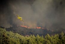 Φωτιά στη Ρόδο: Σε κατάσταση έκτακτης ανάγκης κηρύχθηκε όλο το νησί