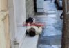 Η δομή του ΟΚΑΝΑ μετέτρεψε τα Μανιάτικα σε στέκι τοξικομανών! (φωτο)
