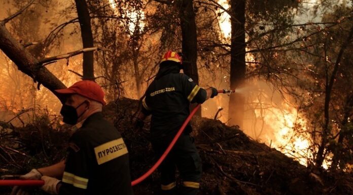 Έκτακτο: Νέα φωτιά στον Βαρνάβα Αττικής