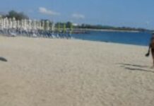 Καβούρι: Έπεσαν τα πρώτα πρόστιμα για ρακέτες στην παραλία – Στα 1.000 ευρώ ανέρχονται οι «καμπάνες»
