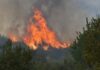 Ανεξέλεγκτη η φωτιά στην Κέρκυρα – Εκκενώνεται η περιοχή Λούτσες
