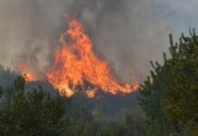 Συγκλονίζει μοναχός – «Δεν αφήνω το μοναστήρι να καεί»