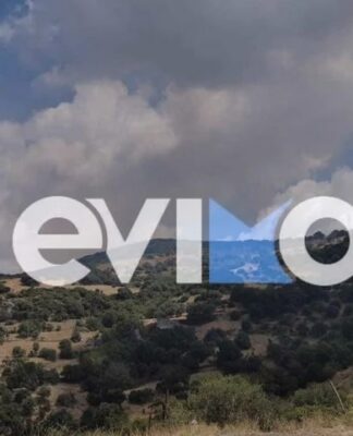 Μεγάλη φωτιά στην Εύβοια -Συναγερμός στην Πυροσβεστική