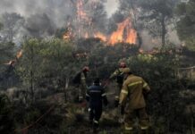 ΤΡΑΓΩΔΙΑ ΣΤΟΝ ΕΒΡΟ: Δύο παιδάκια μεταξύ των 18 απανθρακωμένων μεταναστών στο δάσος της Δαδιάς