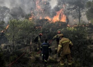 ΤΡΑΓΩΔΙΑ ΣΤΟΝ ΕΒΡΟ: Δύο παιδάκια μεταξύ των 18 απανθρακωμένων μεταναστών στο δάσος της Δαδιάς
