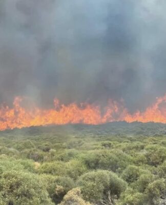 Nέα μεγάλη φωτιά στην Άνδρο: Ήχησε το 112 και εκκενώνεται οικισμός