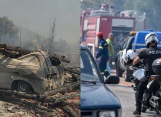 Κρανίου τόπος η Πάρνηθα: Πάγωσαν οι αστυνομικοί με αυτό που αντίκρισαν -Τι υποδηλώνει το εύρημα στη Φυλή