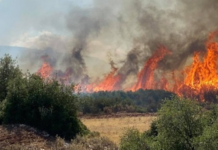 Μεγάλη αναζωπύρωση στο μέτωπο του Ασπρόπυργου – Μήνυμα 112 για εκκένωση από Σοφό προς Αττική Οδό