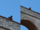 Αγωνία στην Καβάλα: Νεαρός απειλεί να πέσει από τις Καμάρες, ζητά πίσω τη γυναίκα του
