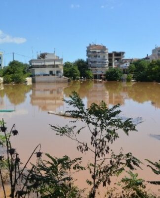 Συναγερμός για τη «νόσο των ποντικιών» – Η λεπτοσπείρωση είναι εδώ!