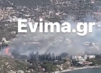 Η φωτιά είναι μες στα σπίτια – Μήνυμα στους κατοίκους από το 112 (ΒΙΝΤΕΟ)