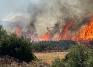 Νέα φωτιά πριν λίγο – Στη μάχη έξι εναέρια μέσα της Πυροσβεστικής