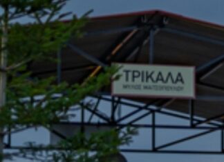 Απίστευτη εισβολή στα Τρίκαλα – Ανησυχούν οι κάτοικοι