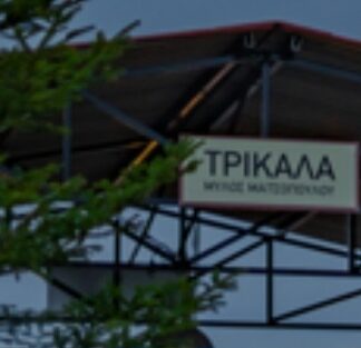 Απίστευτη εισβολή στα Τρίκαλα – Ανησυχούν οι κάτοικοι