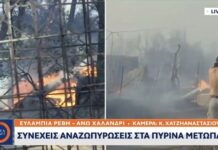 ΕΚΤΑΚΤΟ: Η φωτιά μπήκε μέσα στο Χαλάνδρι – Περικυκλωμένα τα Βριλήσσια