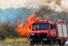 EKTAKTO – Νέα φωτιά ΤΩΡΑ στην πιο καμένη περιοχή της χώρας – Συναγερμός στην Πυροσβεστική