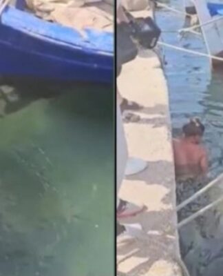 Χελώνα δάγκωσε πορνοστάρ εν ώρα γυρισμάτων ερωτικής ταινίας στην Ανάβυσσο
