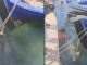 Χελώνα δάγκωσε πορνοστάρ εν ώρα γυρισμάτων ερωτικής ταινίας στην Ανάβυσσο
