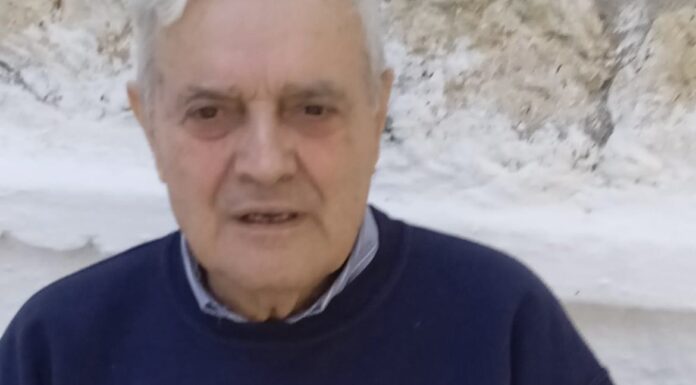 Amber Alert: Ο κ. Πάρης χάθηκε σήμερα στη Νίκαια!