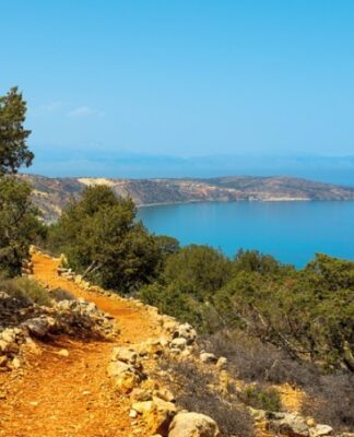 Γαύδος: Συγκίνηση για τους δύο μαθητές δημοτικού που παρέλασαν για την 28η Οκτωβρίου (φωτογραφία)