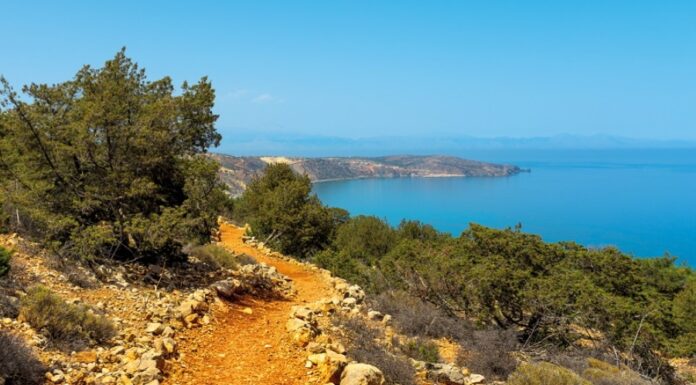 Γαύδος: Συγκίνηση για τους δύο μαθητές δημοτικού που παρέλασαν για την 28η Οκτωβρίου (φωτογραφία)
