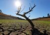 2025: 7 ανατριχιαστικές προφητείες για τη νέα χρονιά από τον «ζωντανό Νοστράδαμο»