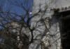 Νεκροί δύο άνδρες από φωτιά σε σπίτι – Βρέθηκαν απανθρακωμένοι