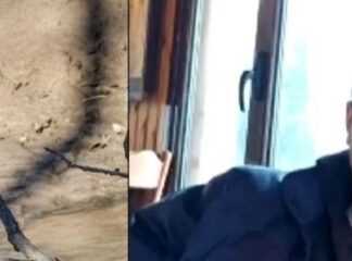 Λάρισα: «Κάποιοι τον έφαγαν…» – Τι υποπτεύεται ηγούμενος για τον Βασίλη Καλογήρου