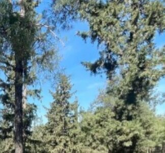 Θρίλερ στου Ζωγράφου: Σε νεαρό φοιτητή ανήκει η σορός που βρέθηκε στην Πανεπιστημιούπολη