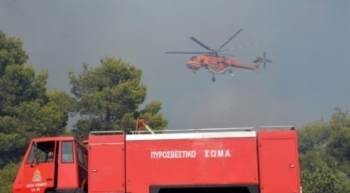 Φωτιά τώρα στη Σαλαμίνα – Επιχειρούν 2 αεροσκάφη και 1 ελικόπτερο