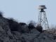 Παρμενίων 2025: Τι ώρα θα ηχήσουν την Τετάρτη οι σειρήνες σε όλη τη χώρα