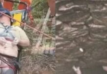 Κινέζα έπεσε σε πηγάδι γεμάτο φίδια και κουνούπια – Τη διέσωσαν μετά από 54 ώρες (video)