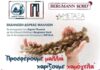 Δήμος Πειραιά – Νοσοκομείο Μεταξά – Bergmann Kord: Δωρεά και περισυλλογή μαλλιών για περούκες στους ογκολογικούς ασθενείς!