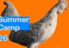 Summer Camp 2026 στο Μουσείο Βορρέ